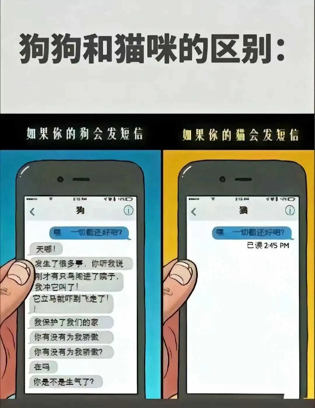 西檬之家-字母圈的BDSM核心术语解析