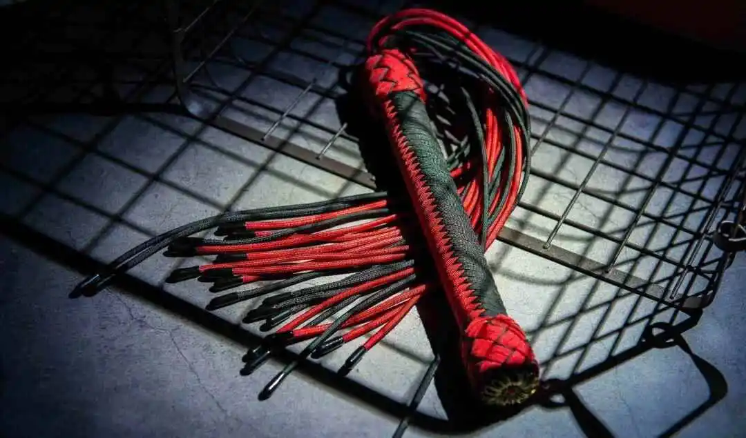 【西檬之家】Sub是什么？BDSM字母圈新人权威指南