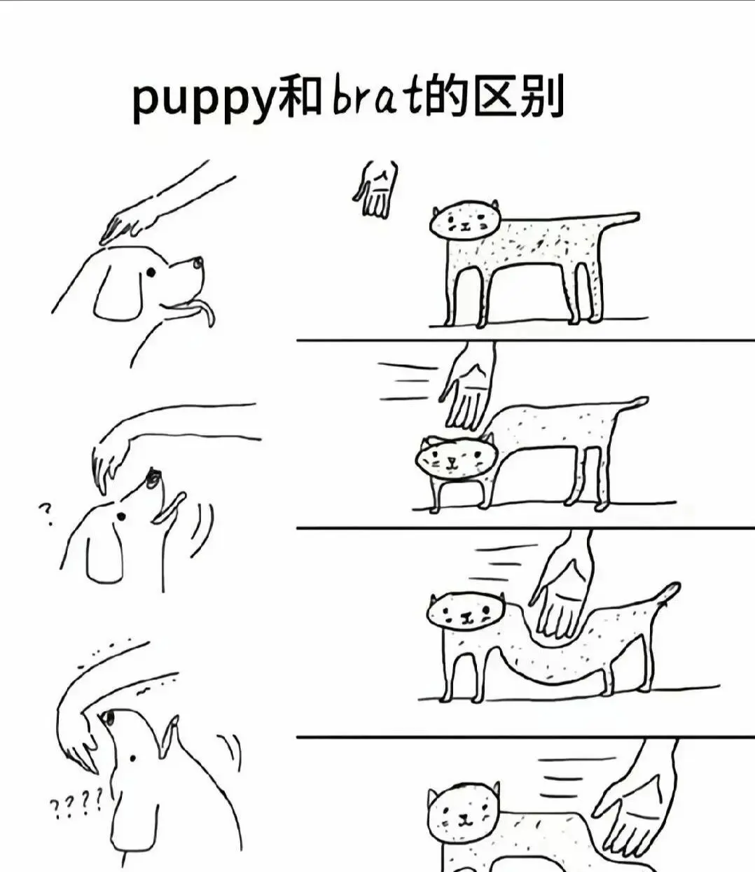 【西檬之家】BDSM安全入门：Dom与Sub的角色解析