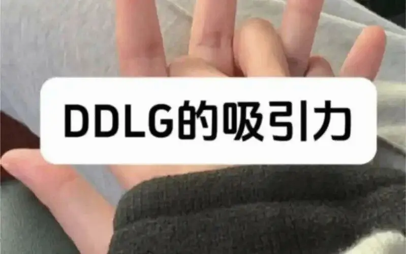 【西檬之家】Sub是什么？字母圈新人必知的角色解析