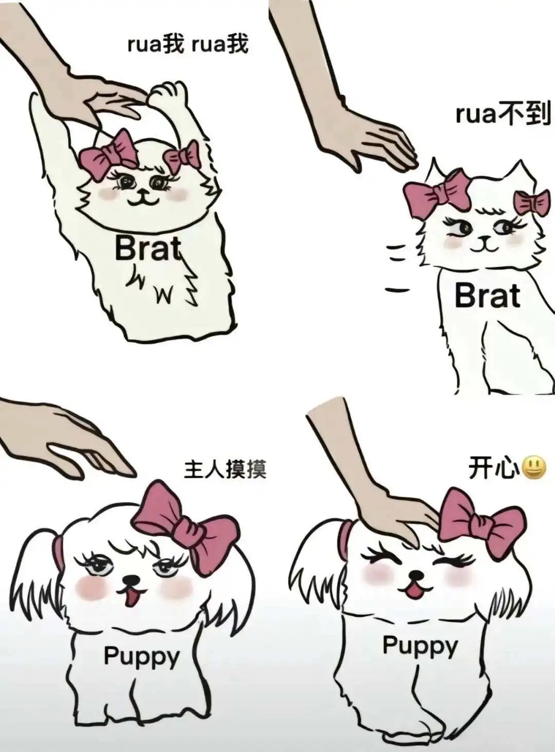 西檬之家-BDSM核心术语解析指南