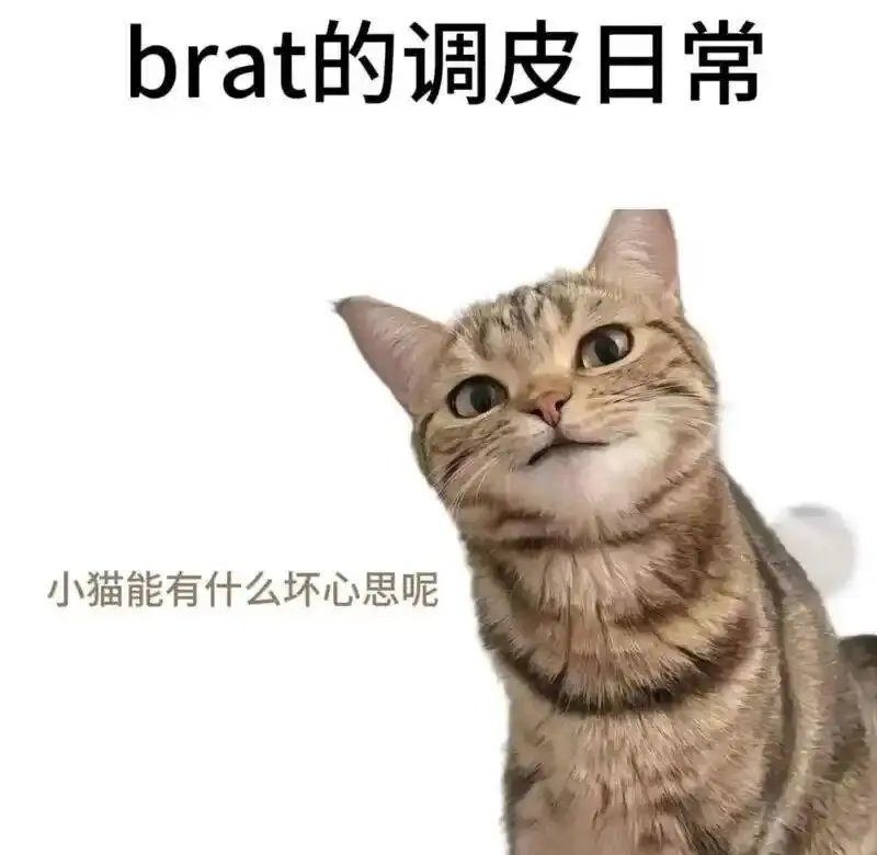 西檬之家-TK是什么？字母圈新人入圈