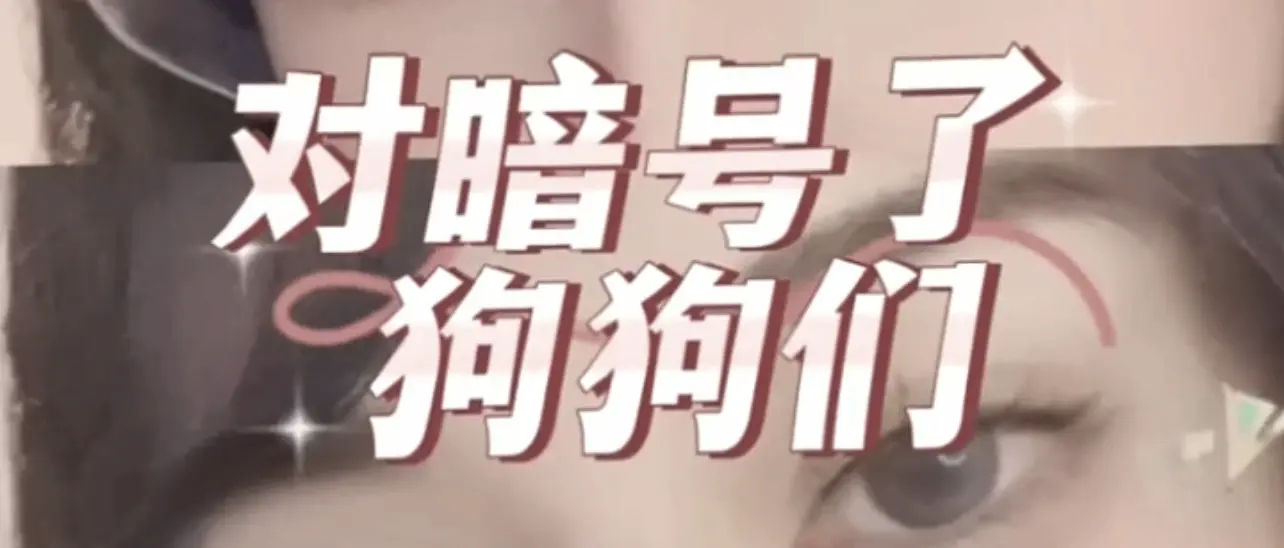 【西檬之家】K9犬系是什么？字母圈新人权威解读