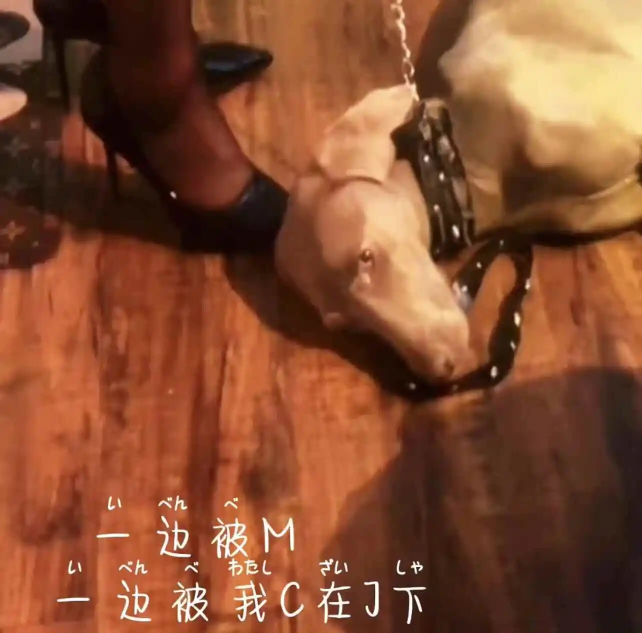 【西檬之家】Dirty Talk是什么？字母圈新人入圈指南