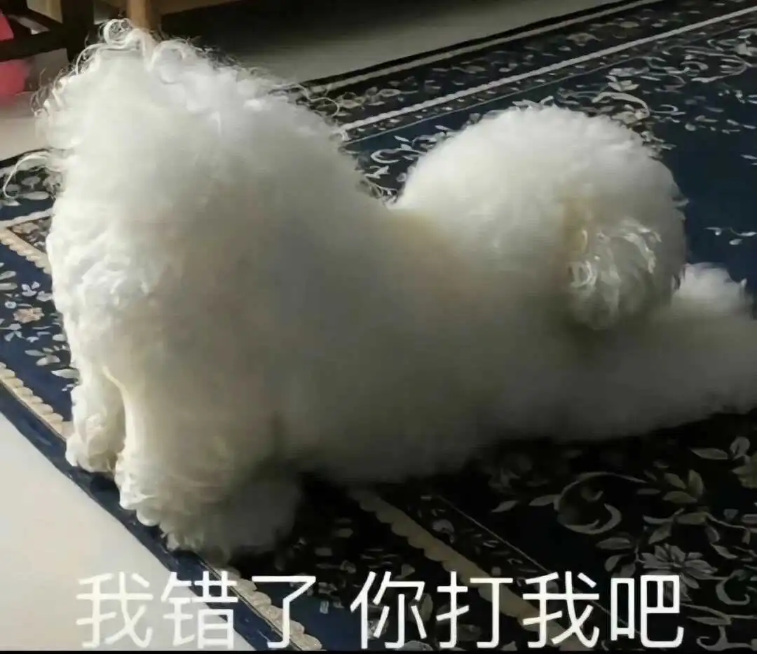 西檬之家-Dirty Talk是什么？字母圈新人入圈