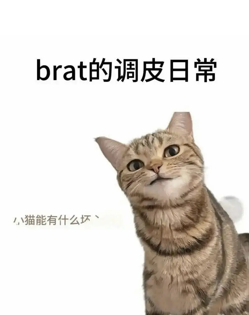 西檬之家-字母圈的践踏癖是什么？